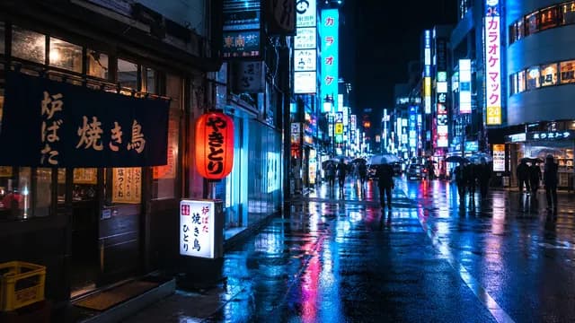 入力画像（編集前）